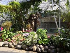 -北京植物园-展览温室