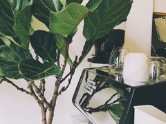 -red donkey coffee