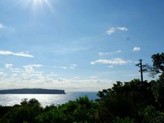-沃森湾