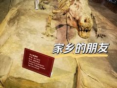 -自贡恐龙博物馆