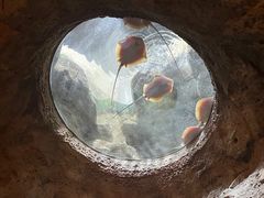 -珠海长隆海洋王国