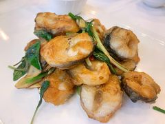 金不换煎焗白鳝-博多新记·粤菜(复兴店)