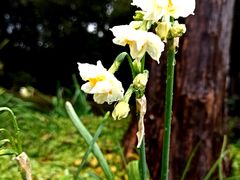 -共青国家森林公园-售票处