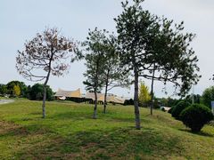 -上林马术中央公园·户外露营·团建·骑乘