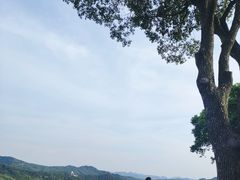 -天目湖涵田度假村