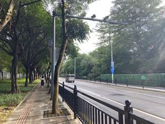 -长洲岛