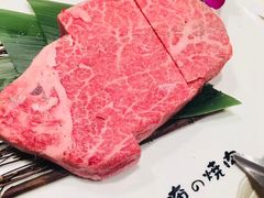 -俺的焼肉(銀座9丁目店)