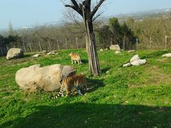 -西安秦岭野生动物园