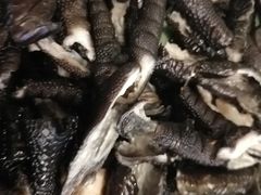 -星湖特色餐厅· 三岔湖环球融创天堂洲际酒店