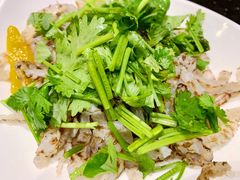 -蝎王府羊蝎子(天通苑店)