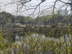 -无锡蠡湖国家湿地公园-蠡园