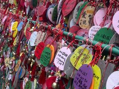 -西双版纳原始森林公园