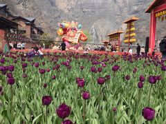 -河南宝泉旅游区