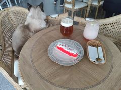 -共舞时光猫咖·狗咖(新街口店)