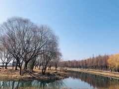 -苏州太湖湖滨国家湿地公园