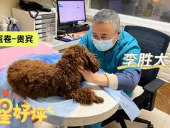 -美联众合动物医院·24h京西诊疗中心