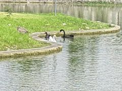 -安徽大学(磬苑校区)