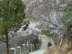 -北京凤凰岭