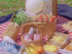 -上海共青森林公园