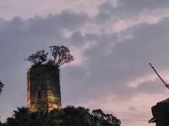 -江心屿景区
