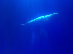 -多彩贵州城极地海洋世界