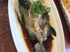 清蒸老虎斑-韩记海鲜饺子旗舰店(红海新区店)