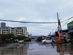 -白沙洲农产品大市场-海鲜交易区