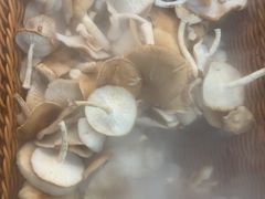 -云山灶.现炒云南菜(云大店)