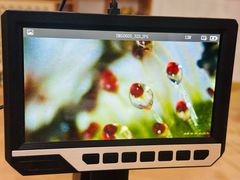 -世纪飞马幼儿园(西城校区)