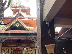 -基诺山寨.版纳民族特色菜