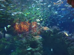 -海合安成都极地海洋公园