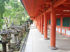 -奈良公园