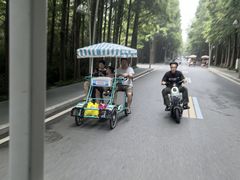 -日照海滨国家森林公园