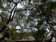 -杭州上天竺法喜讲寺