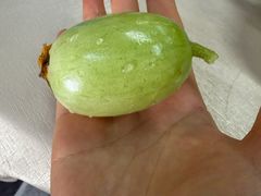 -北塘海鲜·天津菜(大光明桥旗舰店)