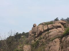 -鲁山国家森林公园