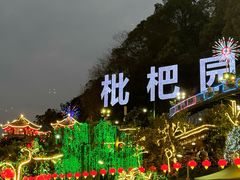 -枇杷园食为鲜火锅(南山店)