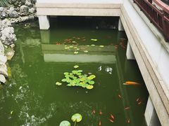 -苏州图书馆(人民路总馆)