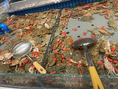 -一方渔歌蒸汽海鲜自助(文化路万达广场店)