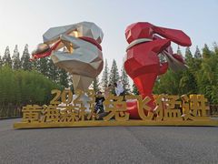 -黄海国家森林公园