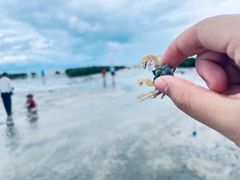 -红树林天天赶海