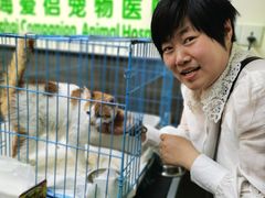 -爱侣宠医·鹦鹉专科·小型哺乳类·异宠专科(灵石路店)