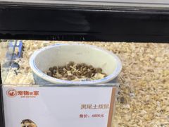 -仲盛世界商城