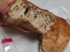 -面包日报