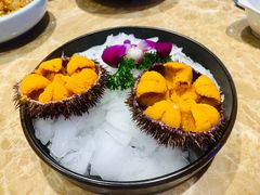 红码头海胆-老大连·海肠捞饭·大连海鲜大连菜(西安路店)