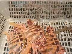-荣小馆(杭州大厦店)