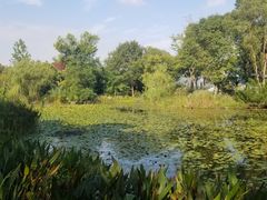 -东浩兰生上海世博展览馆