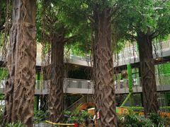 -武清南湖绿博园