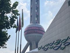 -上海海洋水族馆