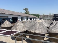 -苏州市吴中区光福窑上花果蜜饯厂